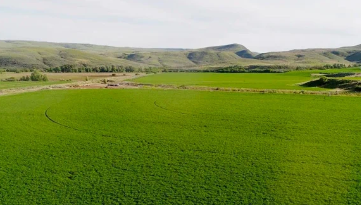 Unlock Financial Freedom